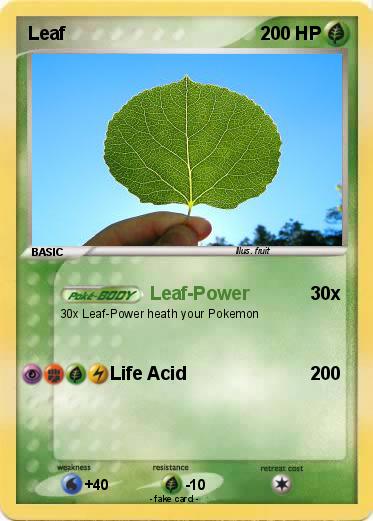 Pokemon Leaf