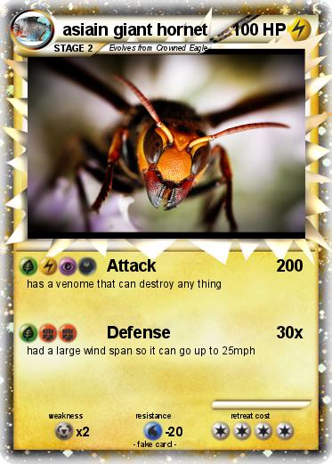 Pokemon asiain giant hornet
