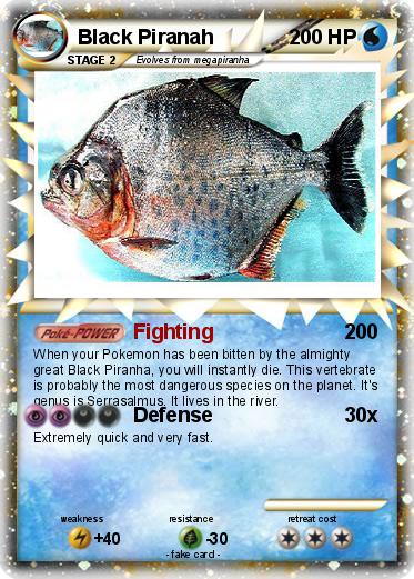 Pokemon Black Piranah