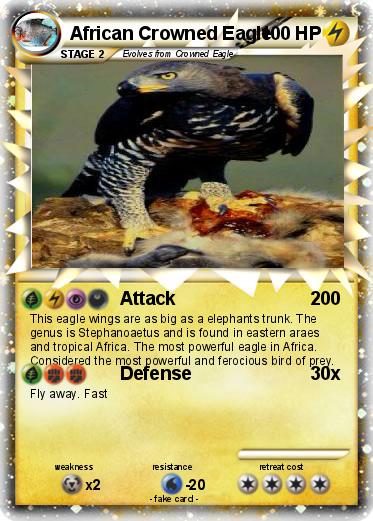 Pokemon African Crowned Eagle