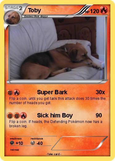 Pokemon Toby