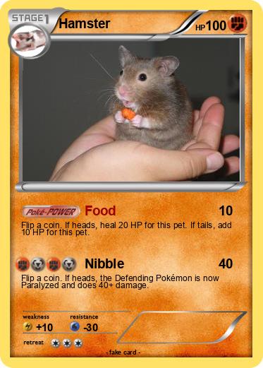 Pokemon Hamster