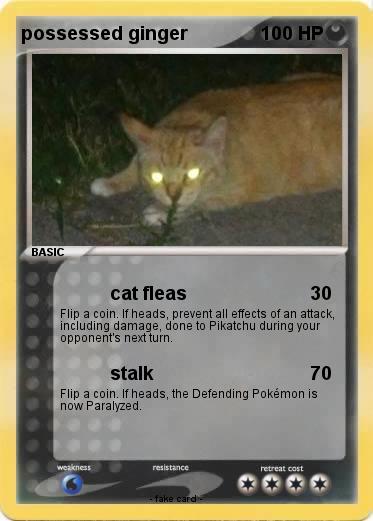Pokemon possessed ginger