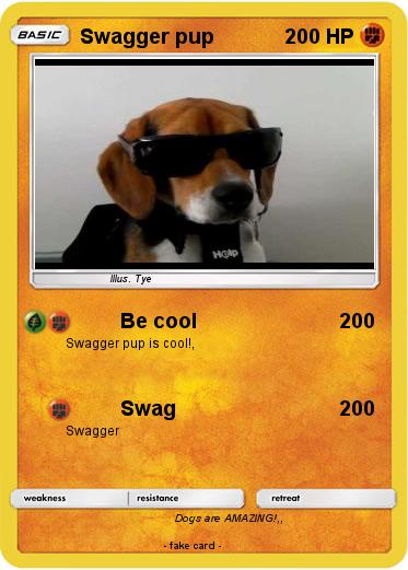 Pokemon Swagger pup