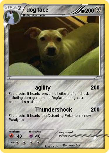 Pokemon dog face