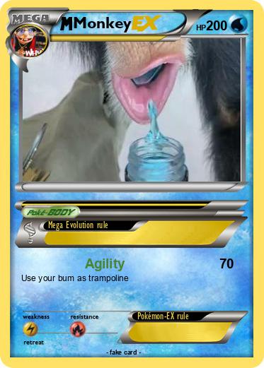 Pokemon Monkey