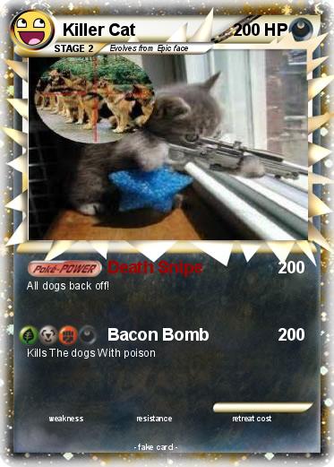 Pokemon Killer Cat