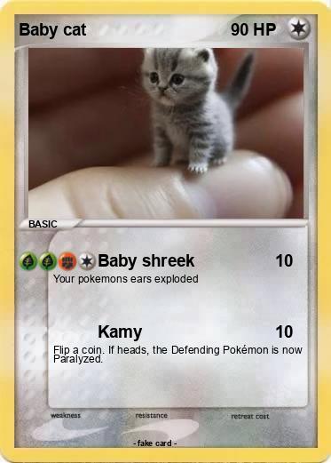 Pokemon Baby cat