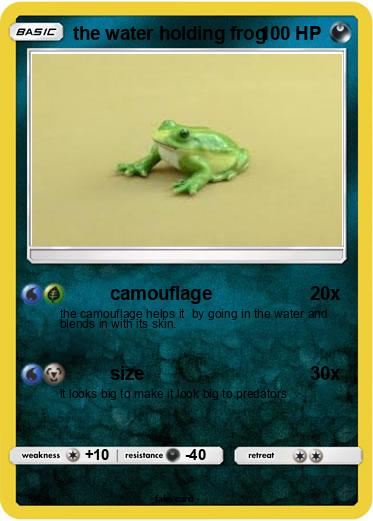 Pokemon the water holding frog