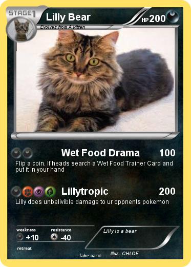 Pokemon Lilly Bear