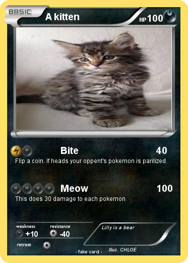 Pokemon A kitten