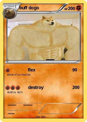 Pokemon buff dogo