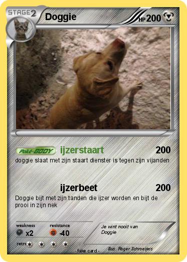 Pokemon Doggie