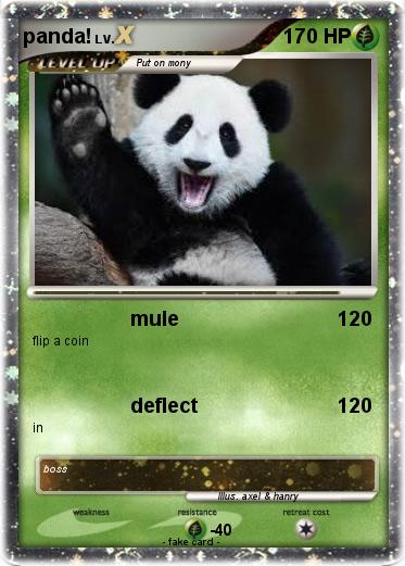 Pokemon panda!