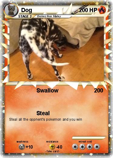 Pokemon Dog