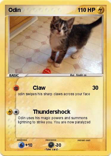 Pokemon Odin