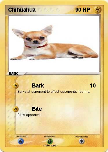 Pokemon Chihuahua