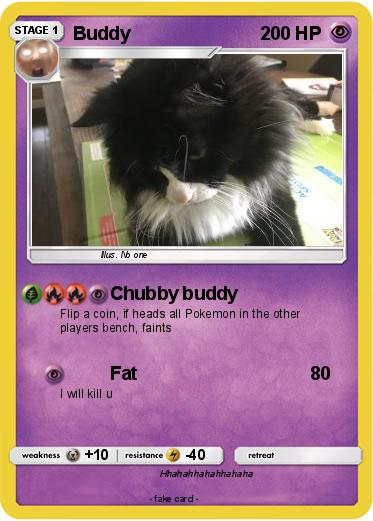 Pokemon Buddy