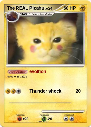 Pokemon The REAL Picahu