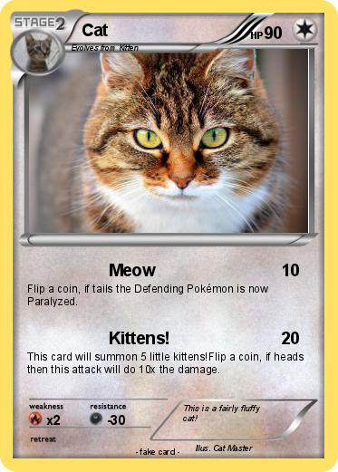 Pokemon Cat