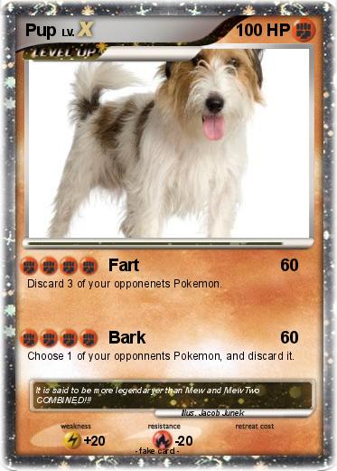Pokemon Pup