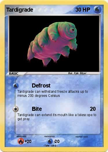 Pokemon Tardigrade