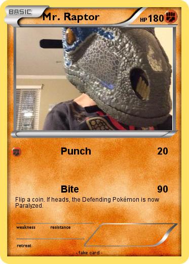 Pokemon Mr. Raptor