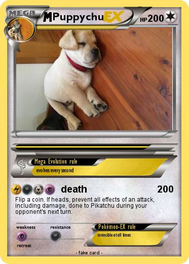Pokemon Puppychu