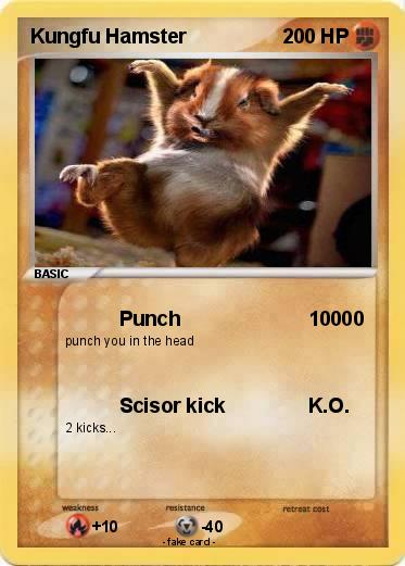 Pokemon Kungfu Hamster