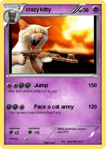 Pokemon crazy kitty