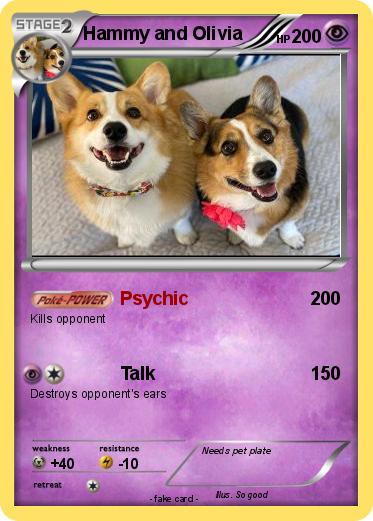 Pokemon Hammy and Olivia