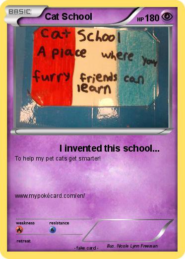 Pokemon Cat School