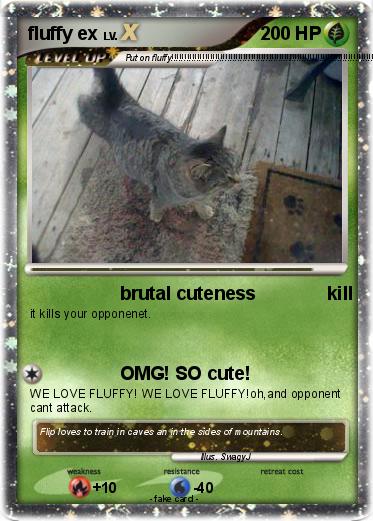 Pokemon fluffy ex