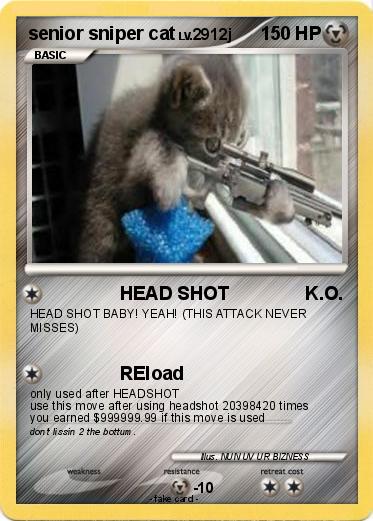 Pokemon senior sniper cat