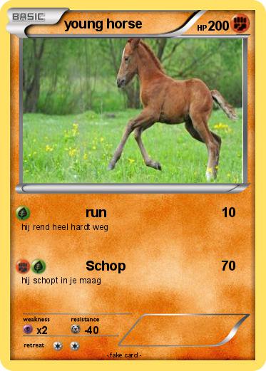 Pokemon young horse