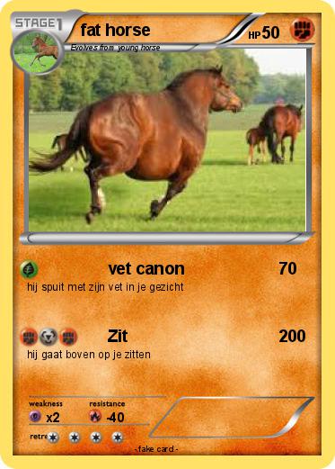 Pokemon fat horse