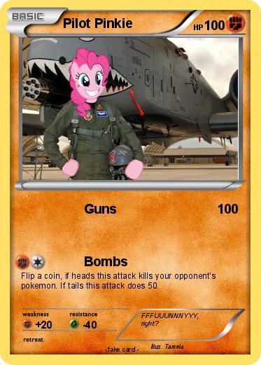 Pokemon Pilot Pinkie