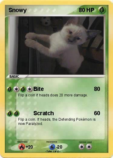 Pokemon Snowy