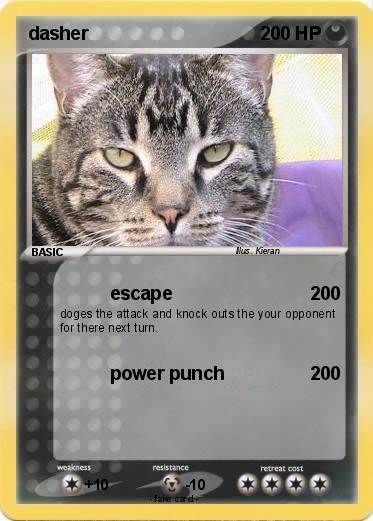 Pokemon dasher