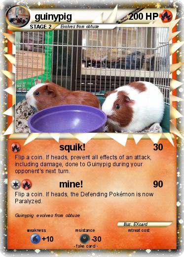 Pokemon guinypig