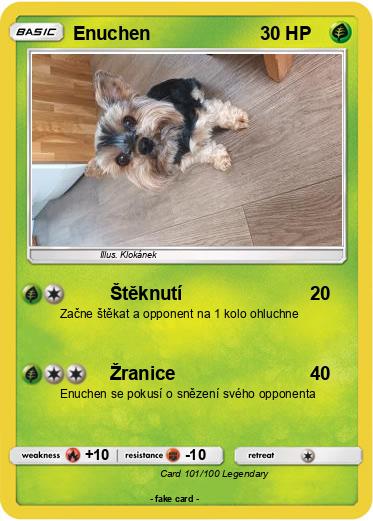 Pokemon Enuchen