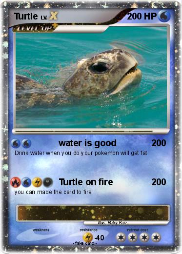 Pokemon Turtle