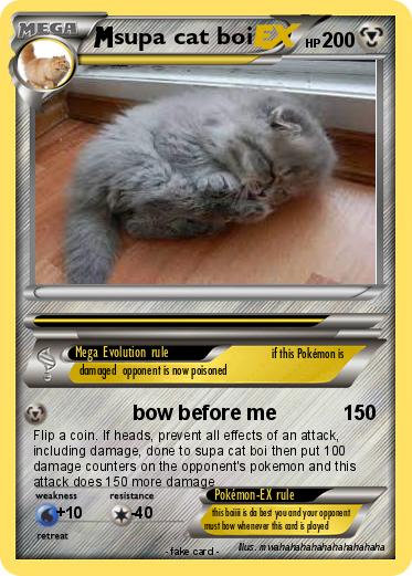 Pokemon supa cat boi
