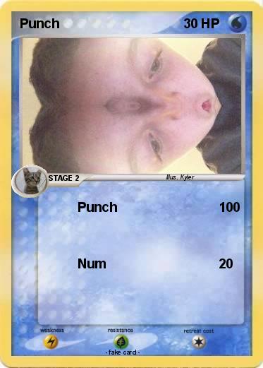 Pokemon Punch
