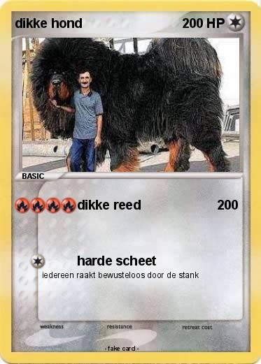 Pokemon dikke hond