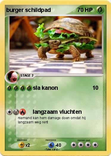Pokemon burger schildpad