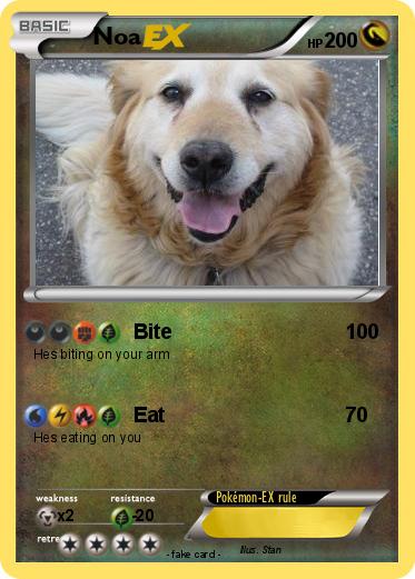 Pokemon Noa