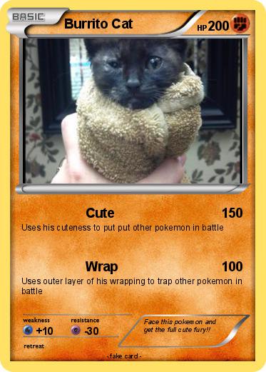 Pokemon Burrito Cat
