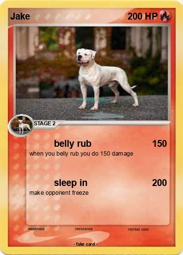 Pokemon Jake