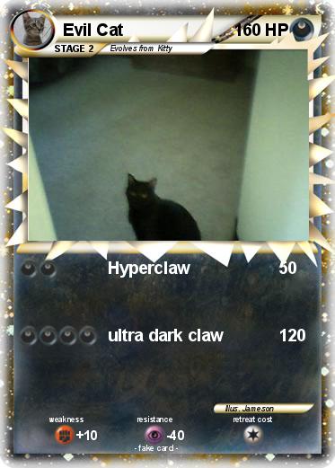 Pokemon Evil Cat